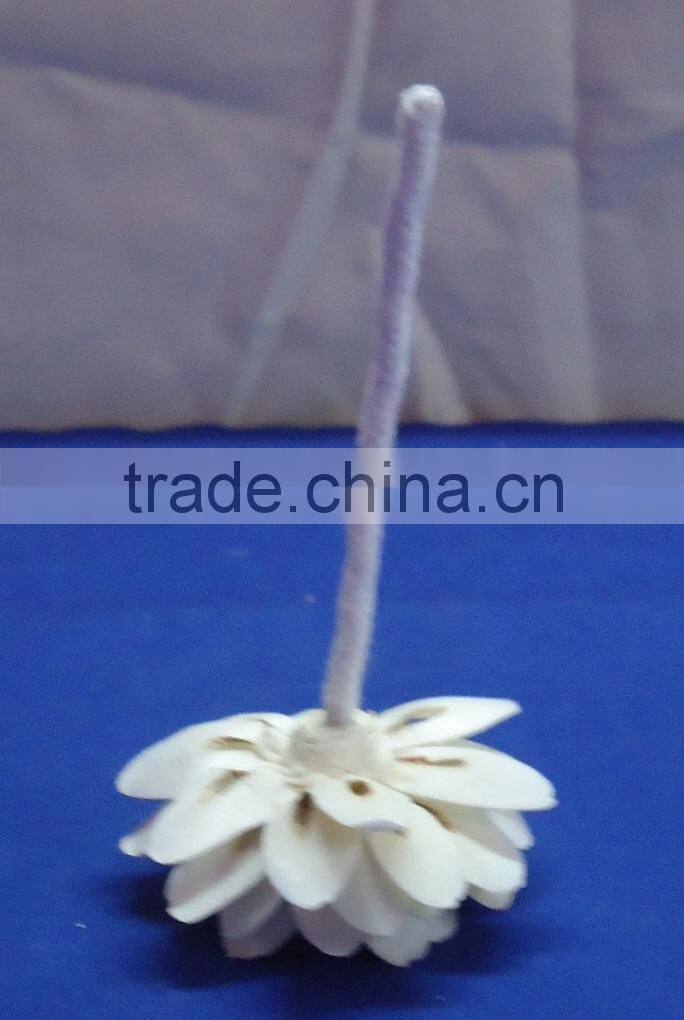 Sola flower