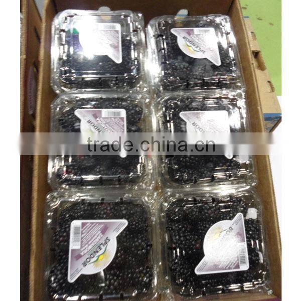 food boxes,cookies box, sugar box,