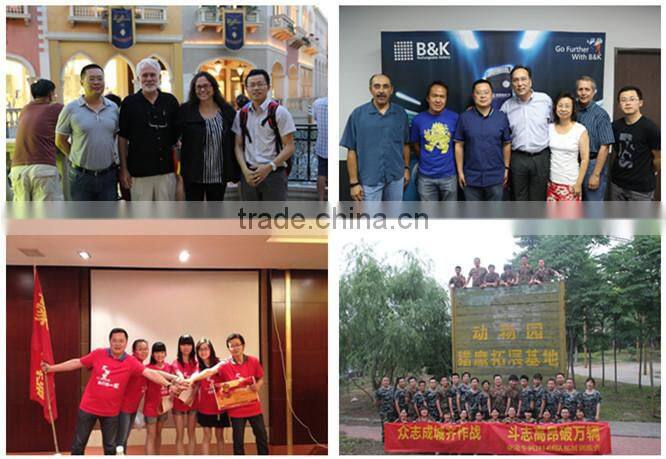 fat bike,removable electric bicycle motor