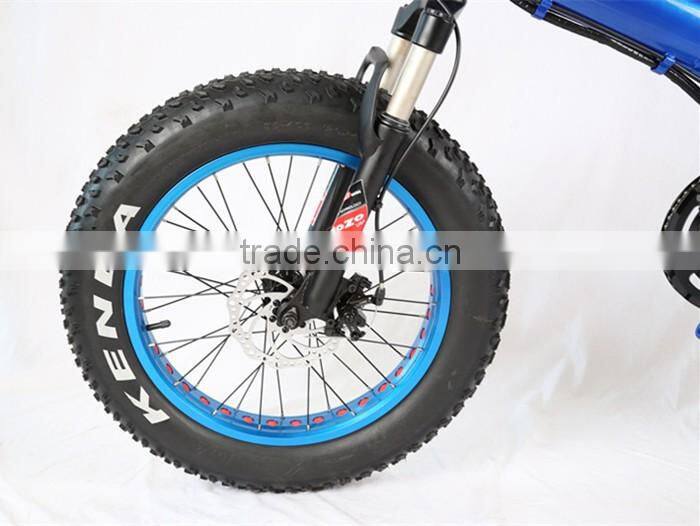 20" foldable Fat electric bike in china