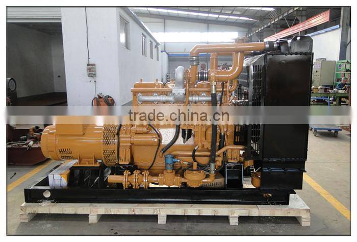 Lvhuan 50Hz/60Hz Natural Gas/ Bio Gas Generator