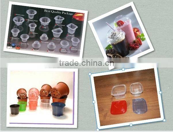 Jelly Cup Making Machine, egg tray thermoforming machine
