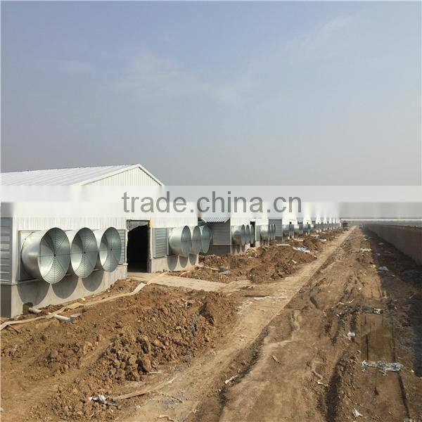 Hot-selling easy assemble steel poultry chicken shed