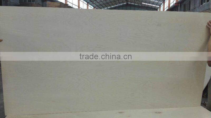 White Birch Plywood