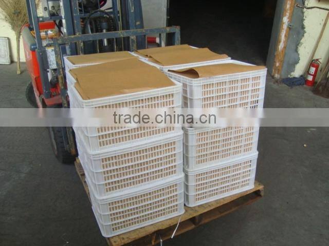 fresh chestnut,2015 chestnut,TianJin chestnut factory fresh