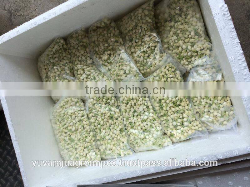 Jasmine Flower Strings