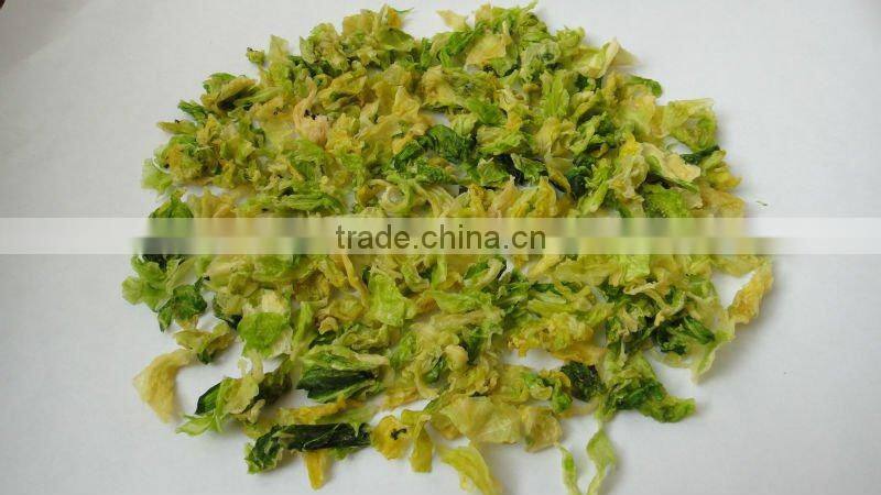 dried cabbage slice 2012 Grade A