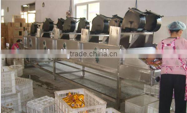 High quality fruit and vegetable dehydrator 0086-15037185761