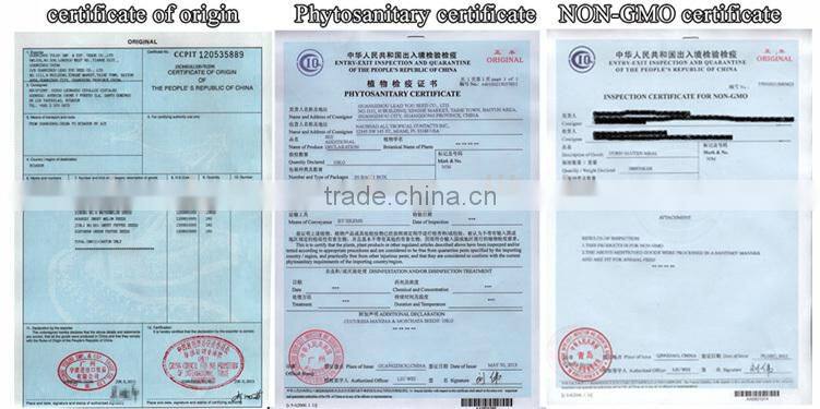 CF48 Genius 48 days extra early maturity hybrid white cauliflower seeds