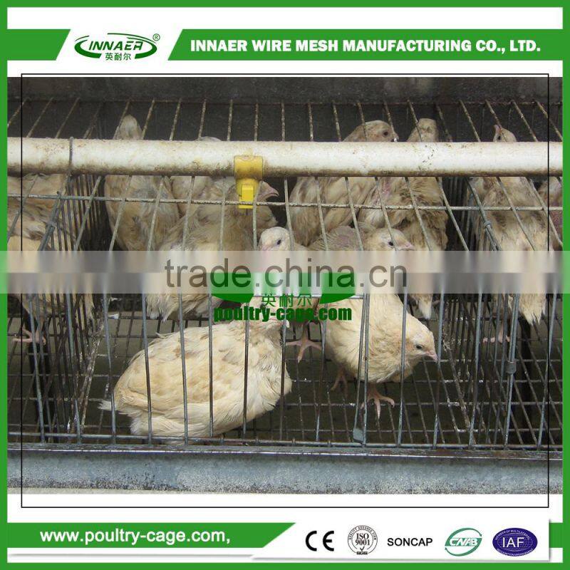 Top products hot selling new 2015 design quail cage and water system