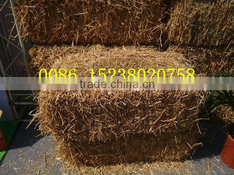 Tractor mounted round hay straw baler machine /grass hay baler machine/square Baler