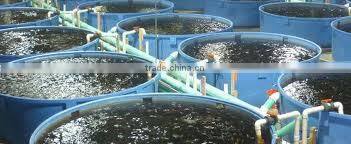 water treatment for barracuda, indoor fish farm, aquaculture ozone generator