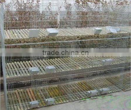 New design high quality rabbit cages for sale ISO certificate rabbit cage/vertical cage