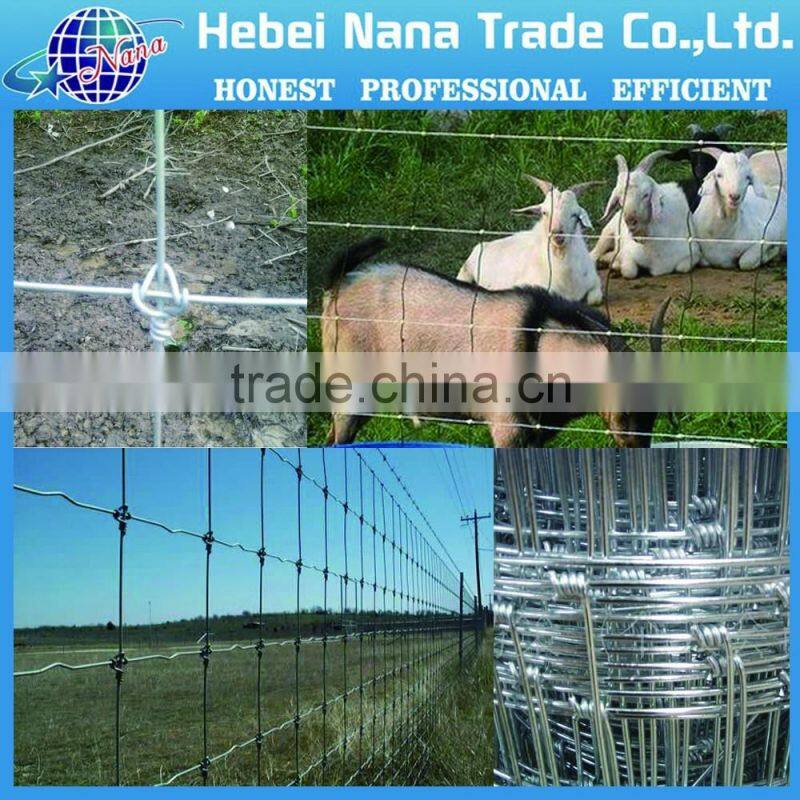 Cheap top quality galvanized steel fence / farm fence