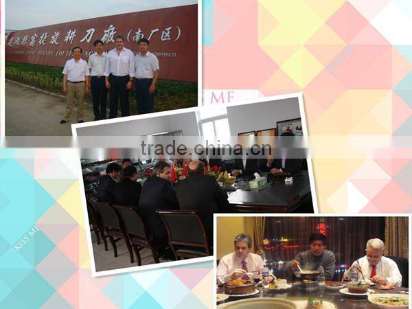 Agriculture machinery ,cultivator machine accessories