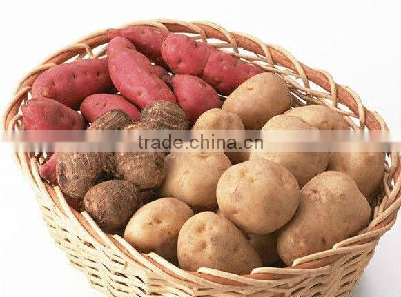 industrial cassava/taro and potato peeling equipment