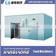 500Kg/H freeze dryer for freeze dried organic food