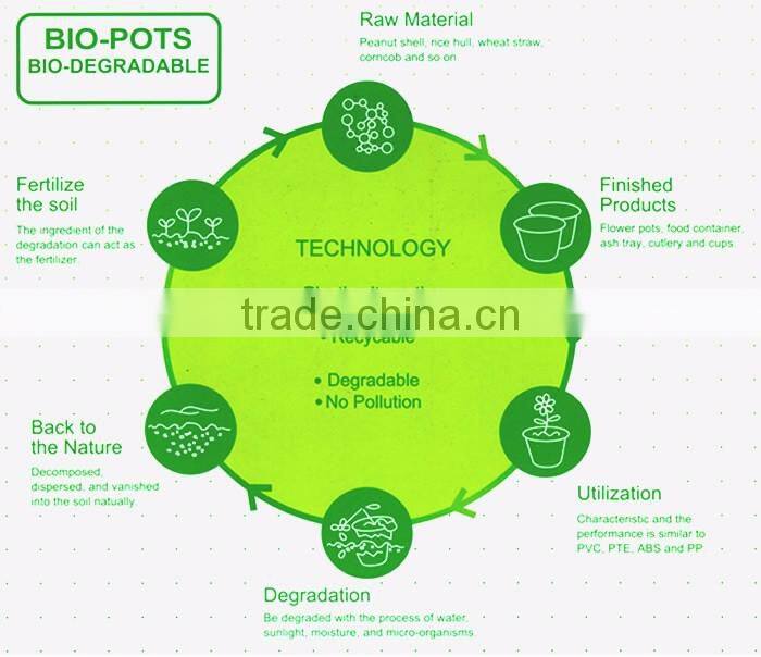 260*215 Biodegradable Colorful Plant Flower Pot Eco Planer