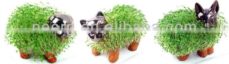 CHIA GRASS HANDMADE DECORATIVE PLANTER - Cattle