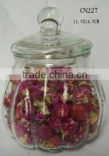 clear cylinder glass bell jar