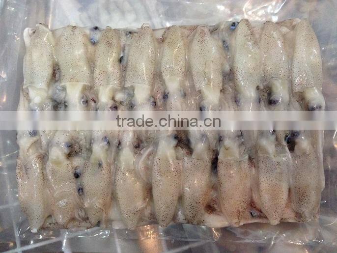 IQF frozen baby loligo squid