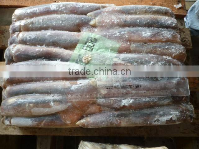 2016 delicious fresh seafood illex squid 200g-300g for market