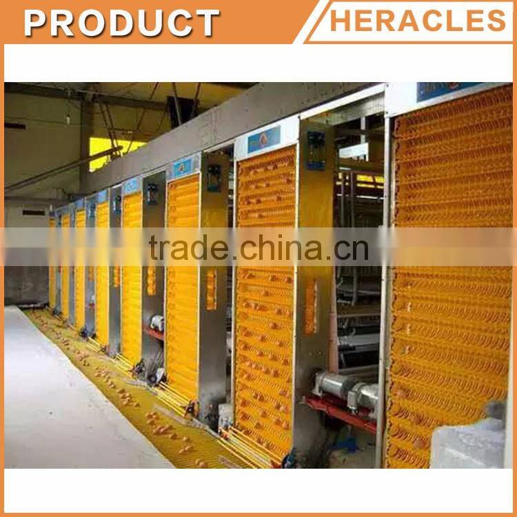 Shandong Heracles trade assurance equipment poultry A type laying hen cages for sale