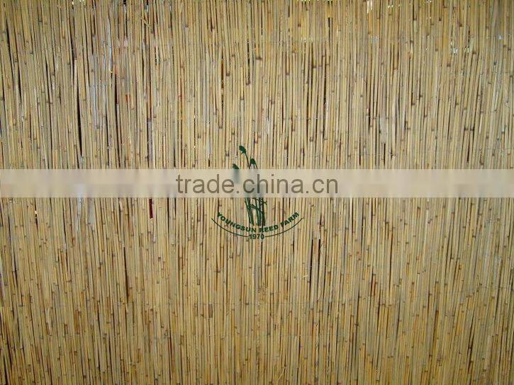 reed natural yellow fencing