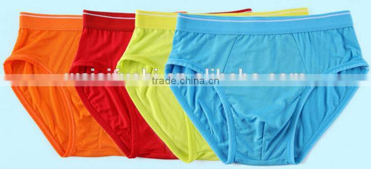 customize hot cheap boys underwear/designer kids cotton spandex boxers briefs