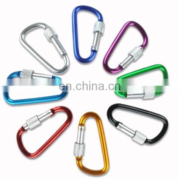 Personalized Engraved carabiner keychain