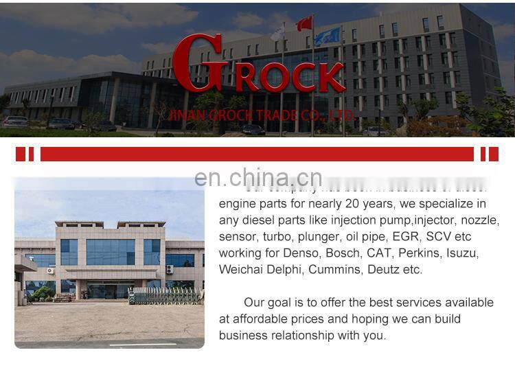 Genuine NANYUE diesel fuel injection pump B6AD548 13030186 13053063