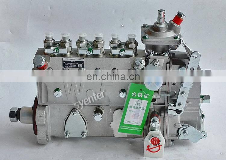 China Jiangsu Wuxi Weifu Fuel Injection Pump 375-1250 6AW161 3971477 for 6BT
