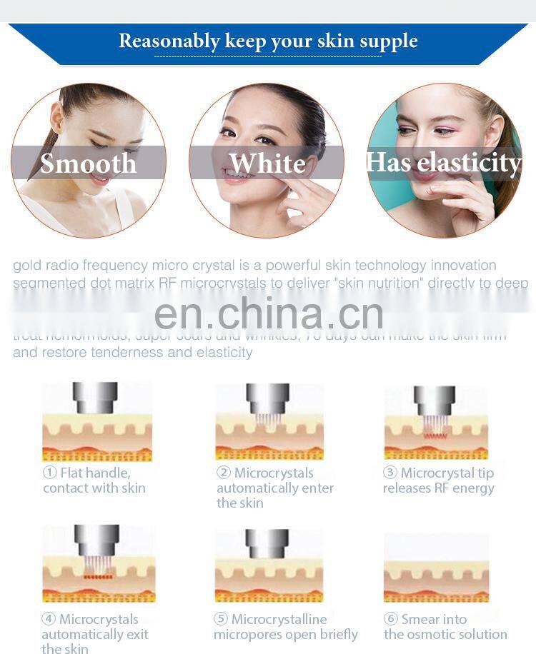 Professional miconeedle therapy system/fractional rf microneedle machine with CE ISO ROHS