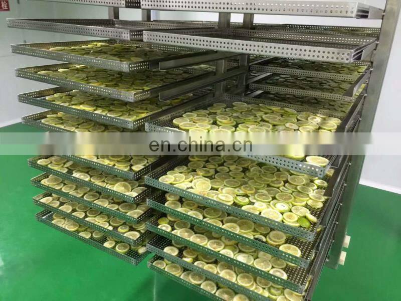 Commerical type vegetables dewating machine dryer electric food dehydrator 48 tray fruit drying machine
