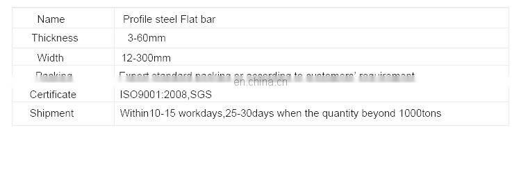 AISI ASTM hot dip galvanized steel flat bars/flat bar steel