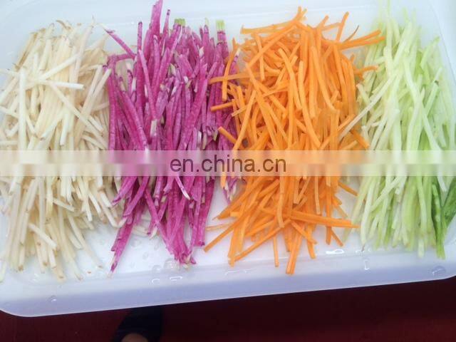 Japan imported multifunctional DM-91D julienne Robo