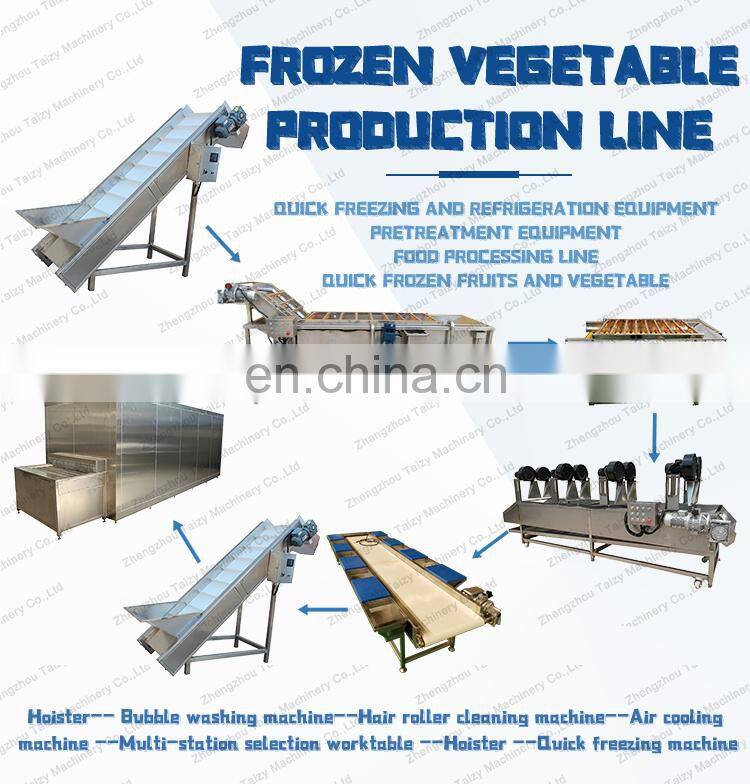 Frozen Green Peas Okra Processing Line Vegetables Washing Machine