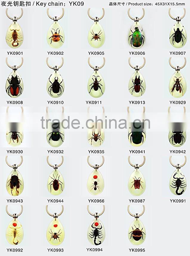 Real insect keychain with scorpion