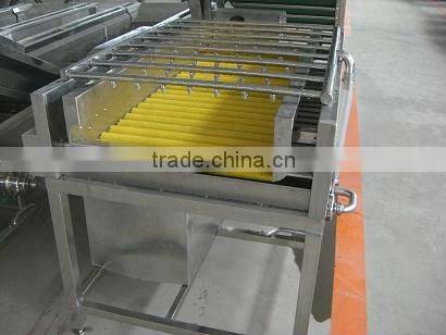 Fruit Brush Washing Machine