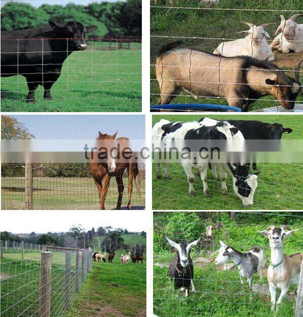5 feet Hot Dipped Farm Fencing Wire