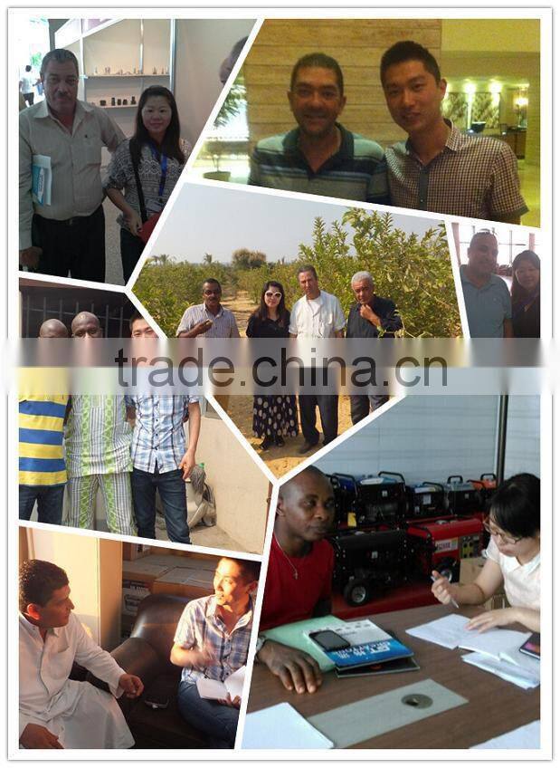 2kW portable gasoline generator steam generator portable generator solar
