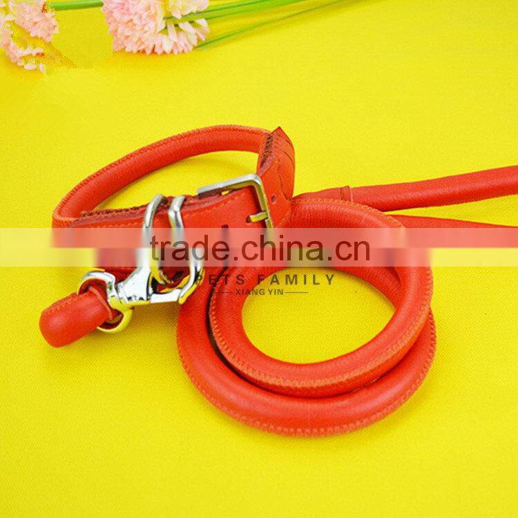 New hot sale china small dog leash