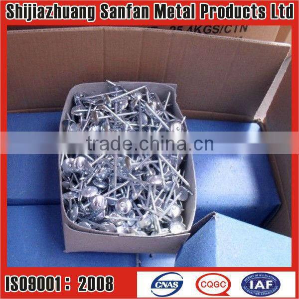 Roofing nail common nail concrete nail