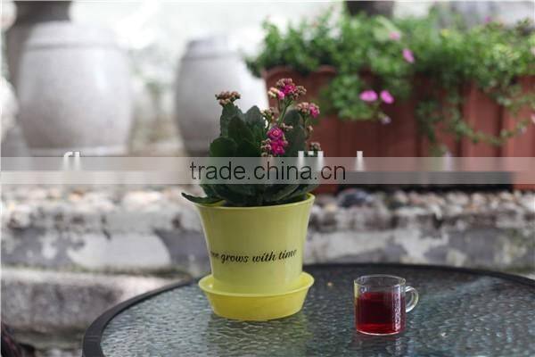 different size wholesale miniature plant pots with tray