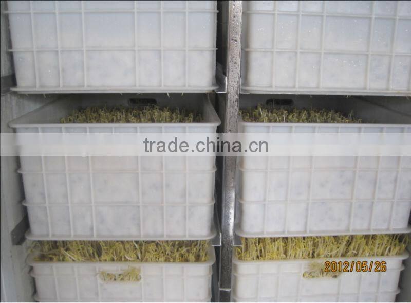 Full Automatic Soybean/Mung/Peanut Bean Sprout Machine