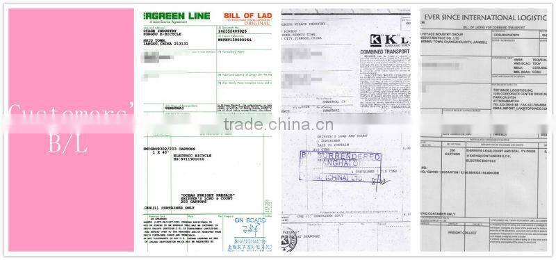 26" alloy frame motor mid drive bottle battery e bike