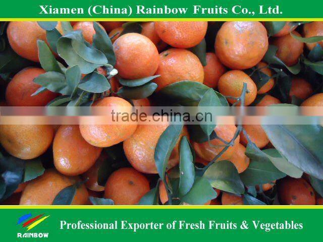 Shatang Mandarin