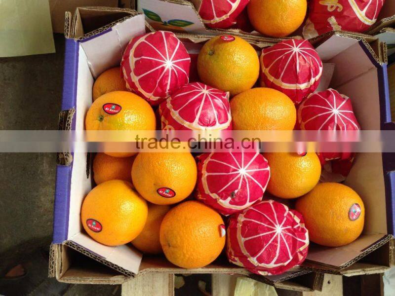 EGYPTIAN ORANGE From Egypt WITH BEST PRICE
