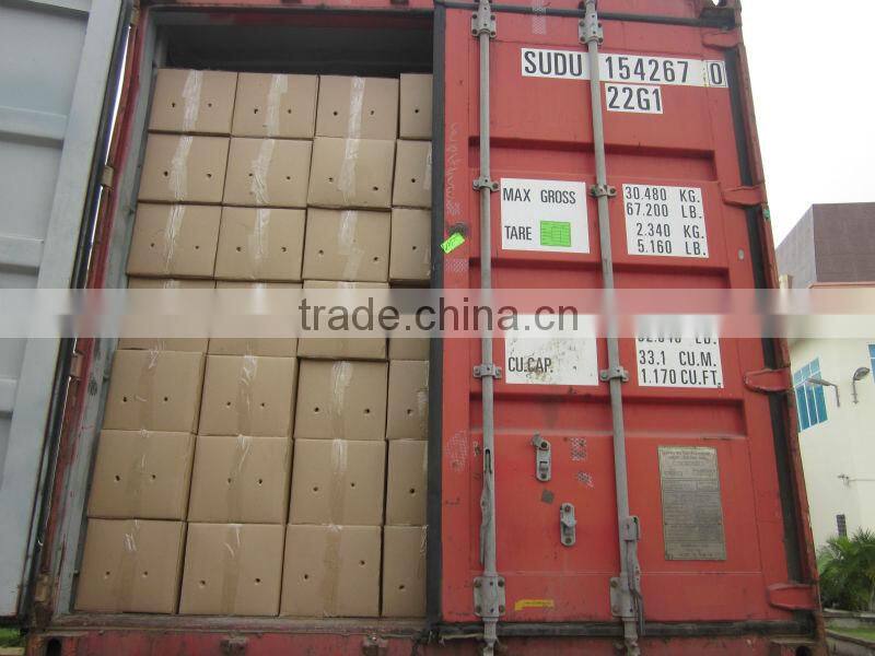 VIETNAM STAR ANISEED without stem (AUTUMN CROP)