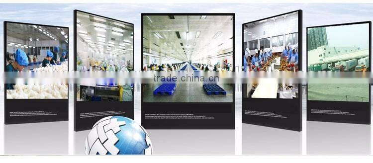 Good price of single clove garlic packing with ISO9001 certificate